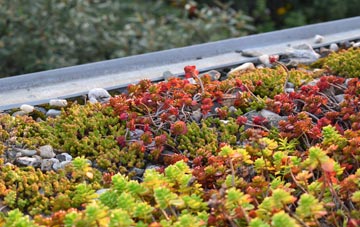 the cost of Duckend Green green roof installation