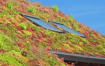 Duckend Green living roof systems