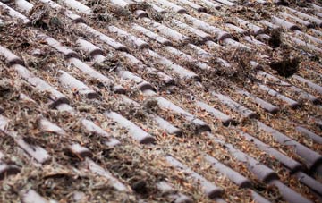 Duckend Green roof cleaning companies