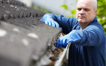 cleaning and inspecting Duckend Green roofs